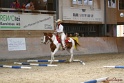 27-APHA OT_080
